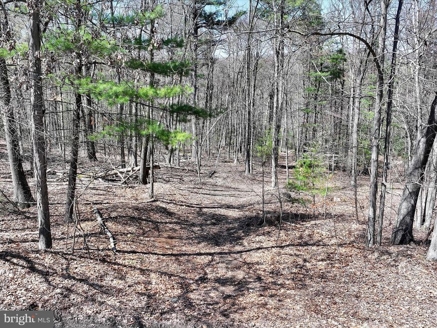 Build your dream home on this peaceful, wooded one-acre lot—just minutes from town with a true country feel. Tucked away on a quiet dead-end street, this perc-approved property offers privacy, mature trees, and a serene natural setting. Enjoy the quiet of the countryside with visits from local wildlife, all while staying close to shopping, schools, and everyday conveniences. It’s the perfect blend of seclusion and accessibility—bring your plans and start building in this tranquil, ready-to-go location.
