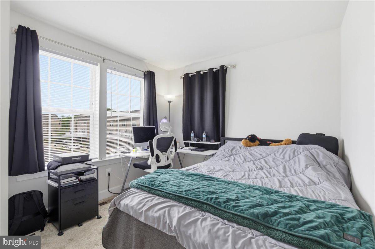 HAMILTON PARK - Residential