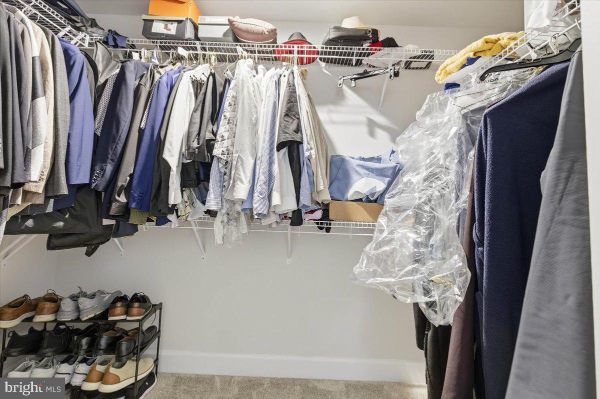 HAMILTON PARK - Residential