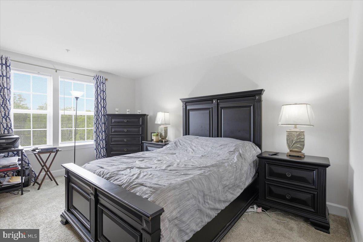 HAMILTON PARK - Residential