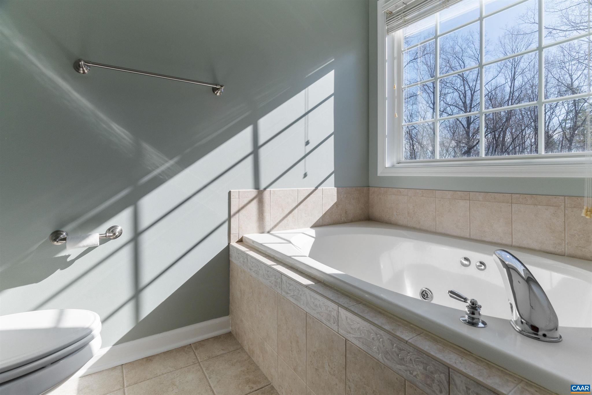 LAKE MONTICELLO - Residential