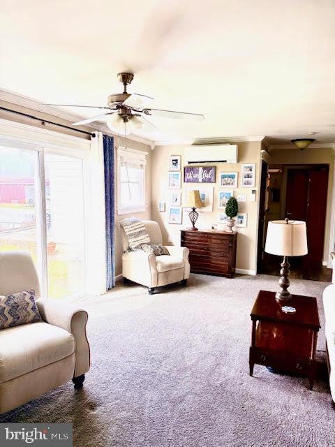 MIDDLESEX TWP - Residential