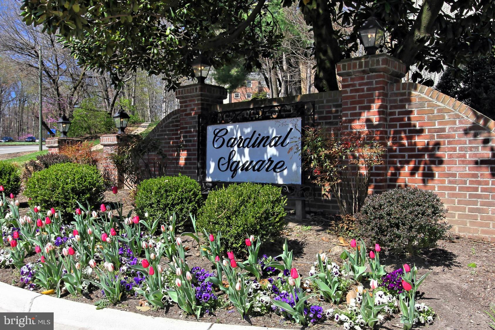 CARDINAL SQUARE - Residential