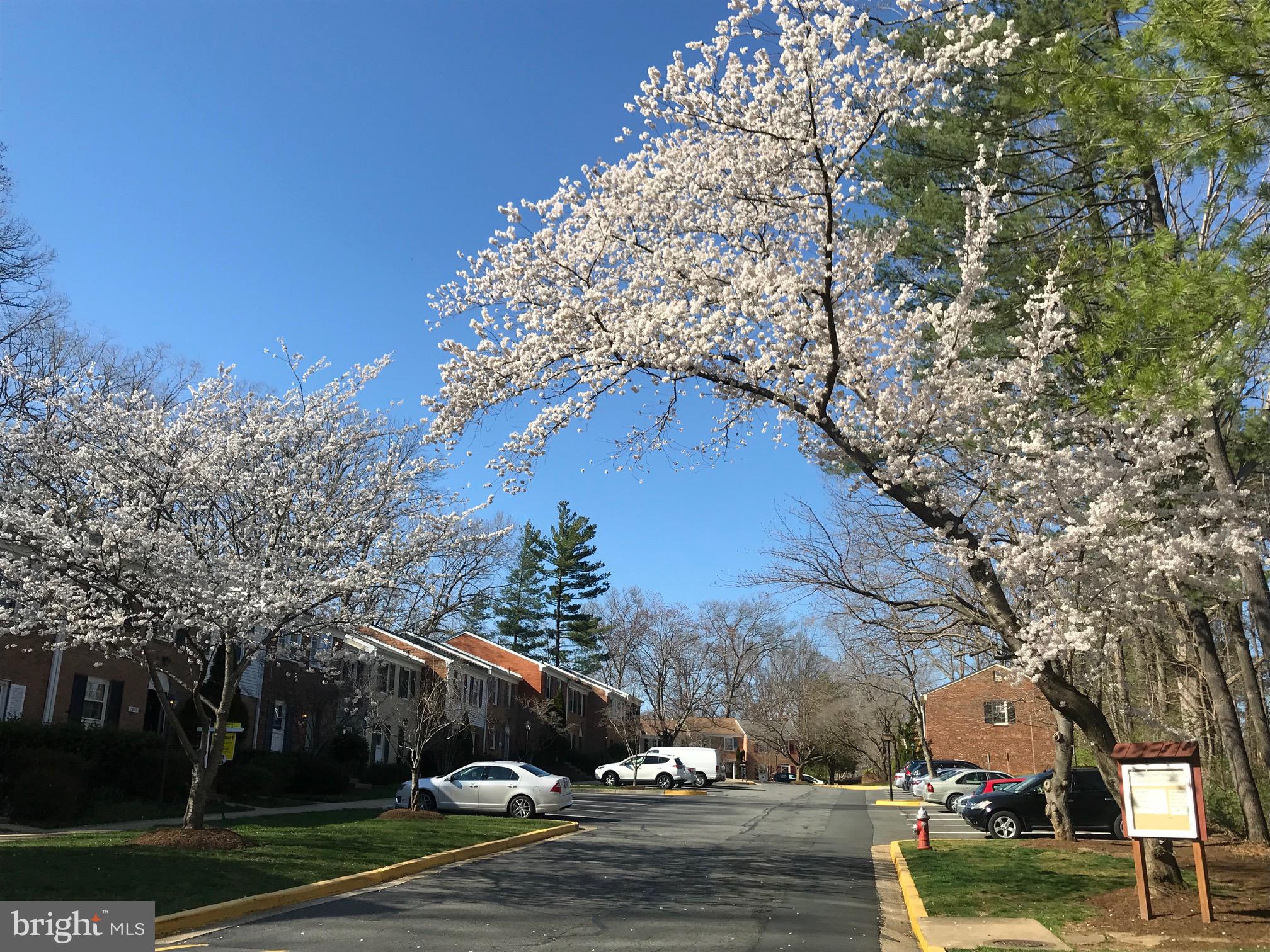 CARDINAL SQUARE - Residential