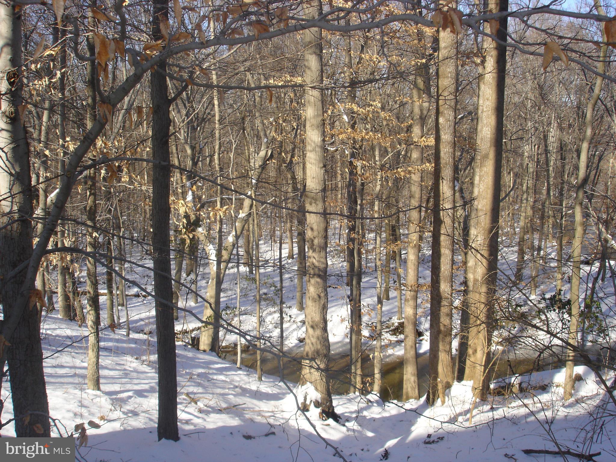 CARDINAL SQUARE - Residential