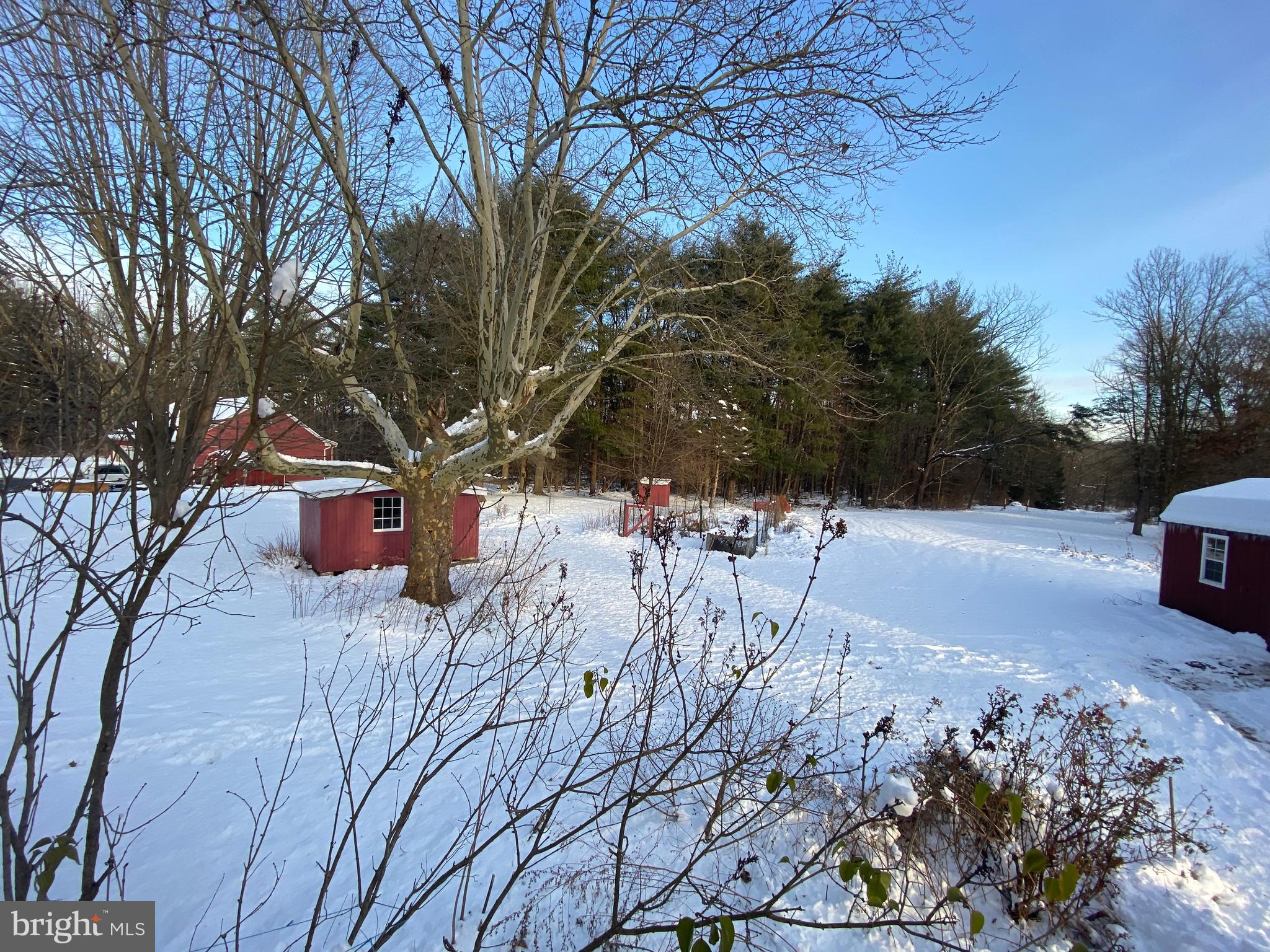 SKIPPACK - Residential