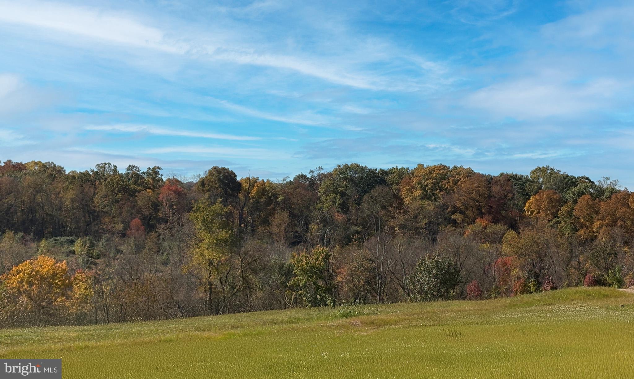 CABIN BRANCH - Residential