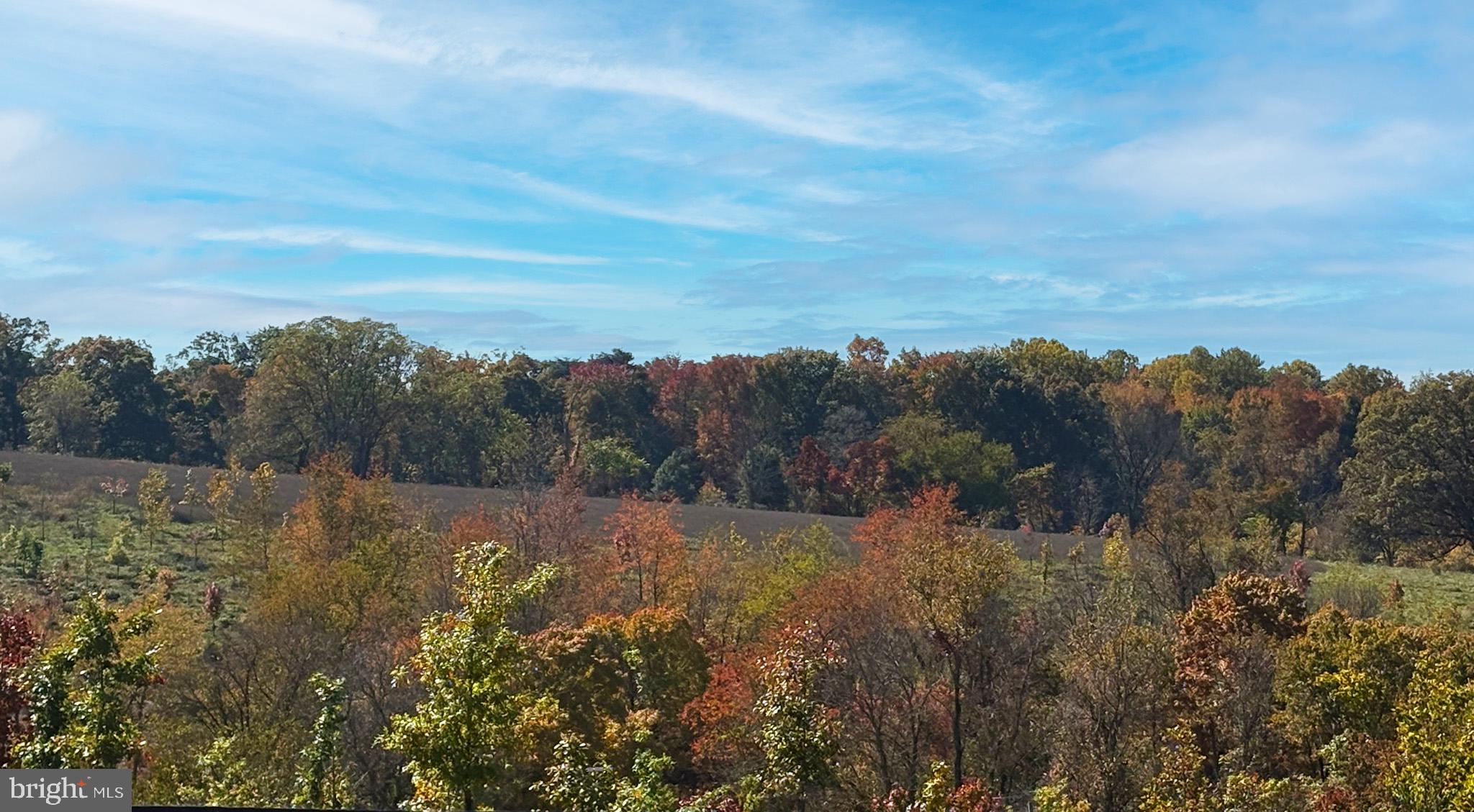 CABIN BRANCH - Residential