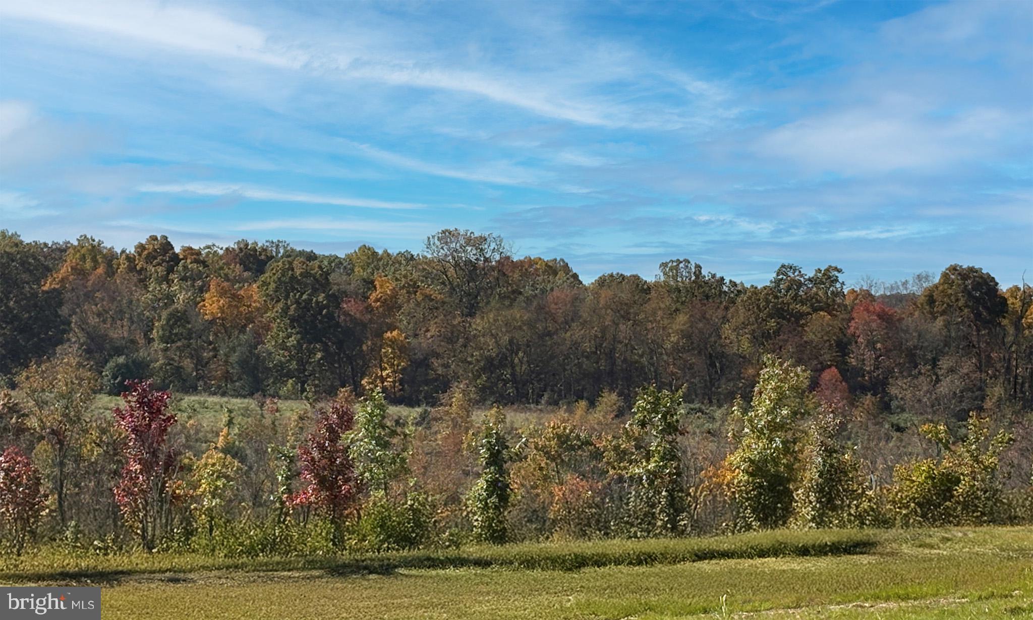 CABIN BRANCH - Residential