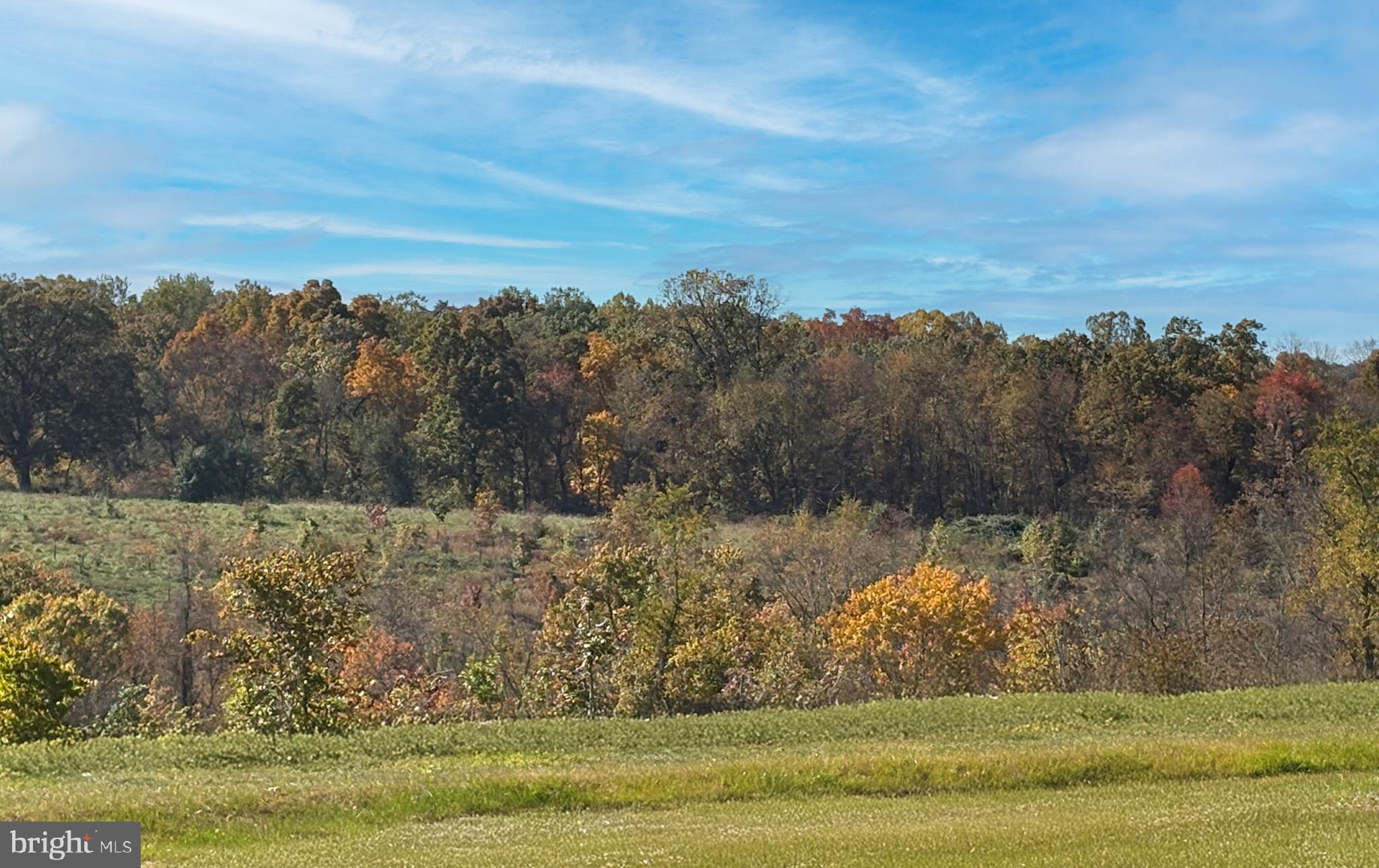 CABIN BRANCH - Residential
