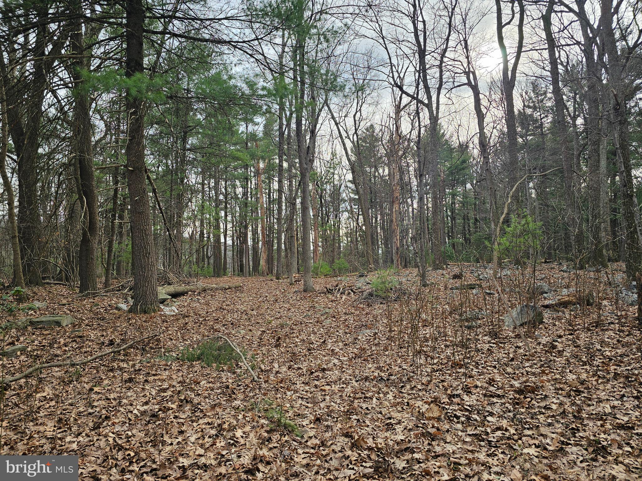 Come build your dream home on this over 2 acre wooded lot in Adams County. Only a minute off of Route 30, but secluded, woodsy area. Lot is mostly level. Site has been Perc approved, with an expired certificate. Seller was told Buyer to contact SEO and can have the certificate re-instated. Septic plans are available. Corner pins and stakes from last survey still in place. Sellers relocating and now cannot build in this beautiful, conveniently located spot.