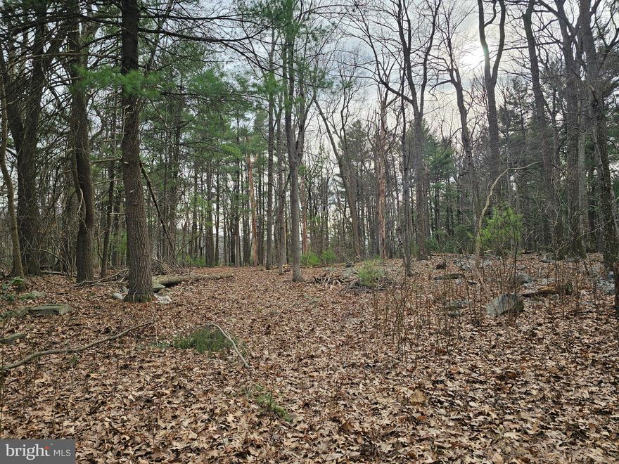 Come build your dream home on this over 2 acre wooded lot in Adams County.  Only a minute off of Route 30, but secluded, woodsy area.  Lot is mostly level.  Site has been Perc approved, with an expired certificate.  Seller was told Buyer to contact SEO and can have the certificate re-instated.  Septic plans are available.  Corner pins and stakes from last survey still in place.  Sellers relocating and now cannot build in this beautiful, conveniently located spot.