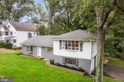 1165 GREEN HOLLY COURT ANNAPOLIS MD 21409
