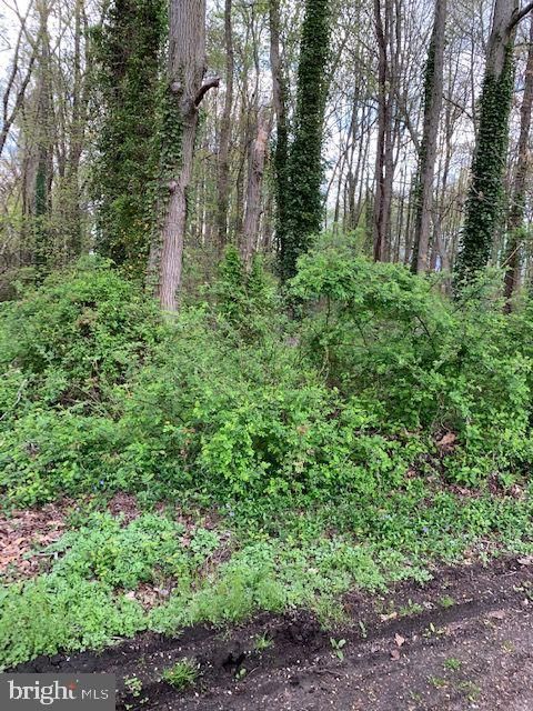 Vacant Land For Sale - 175 Mansfield Boulevard<br/> CHERRY HILL, NJ 08034