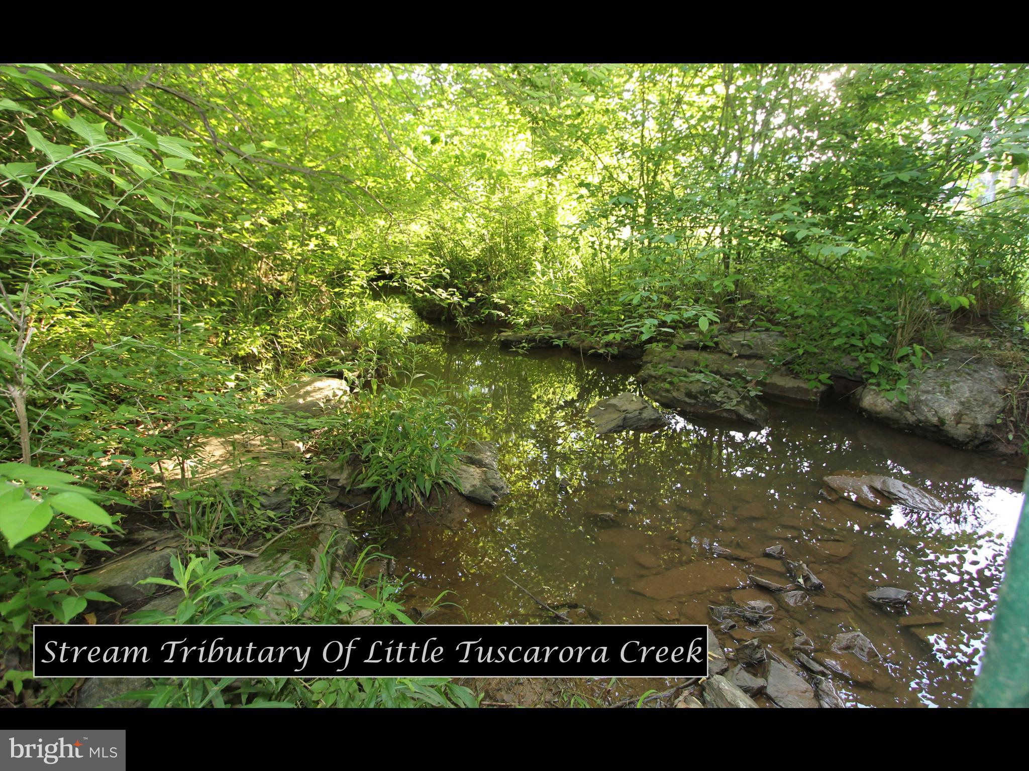 CLOVER HILL III - Residential Lease