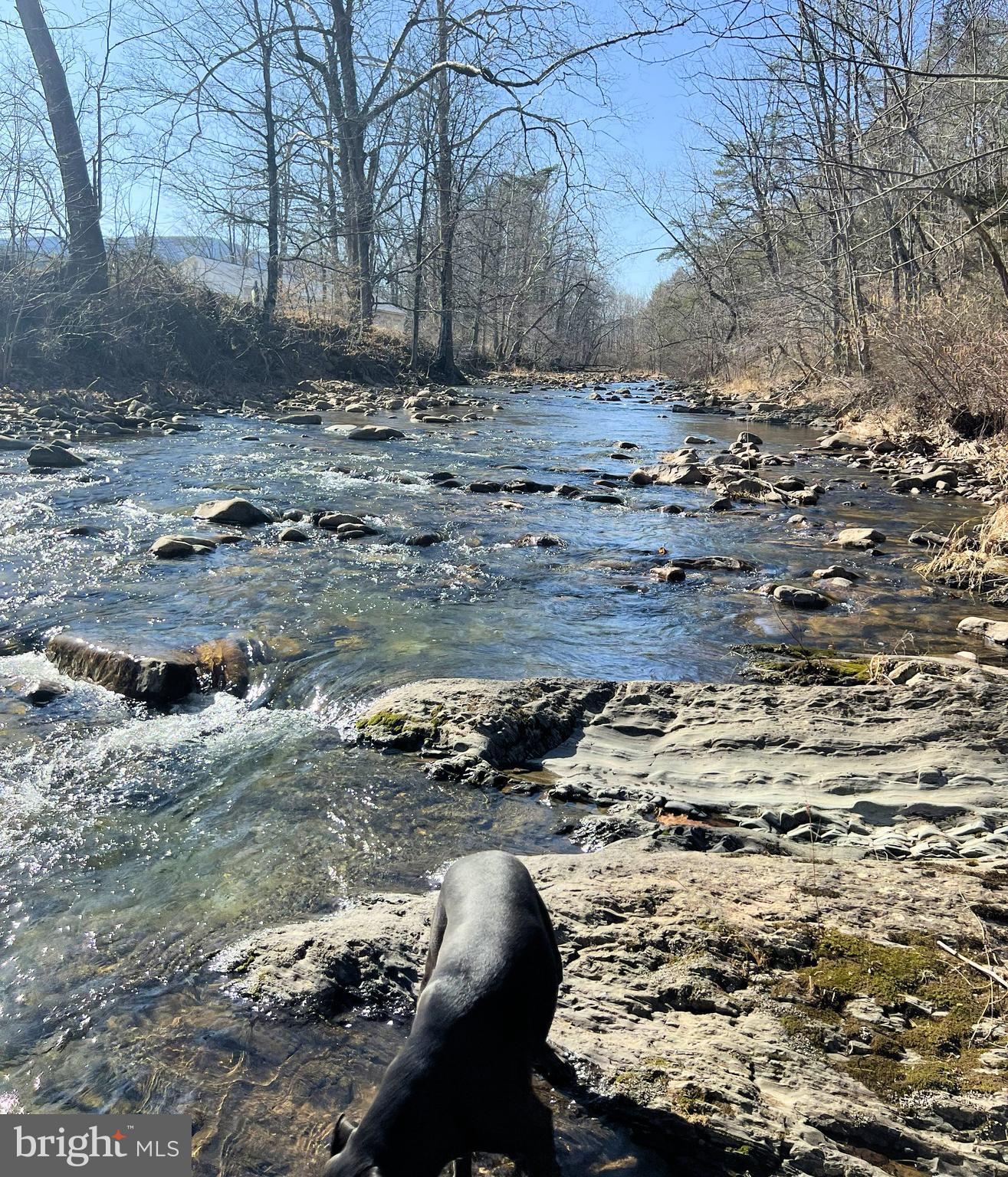 RADNOR DR