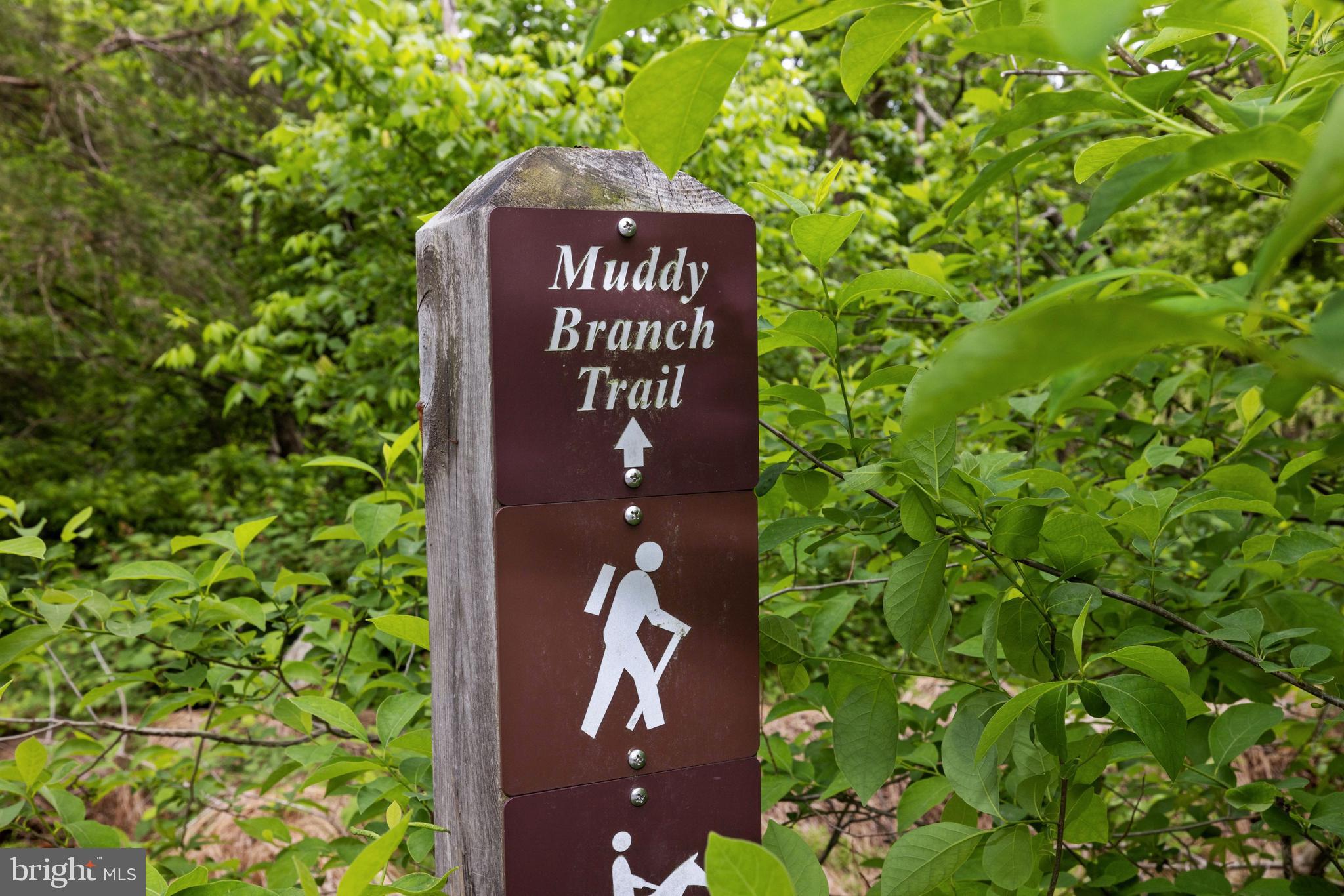 KENTLANDS - Residential