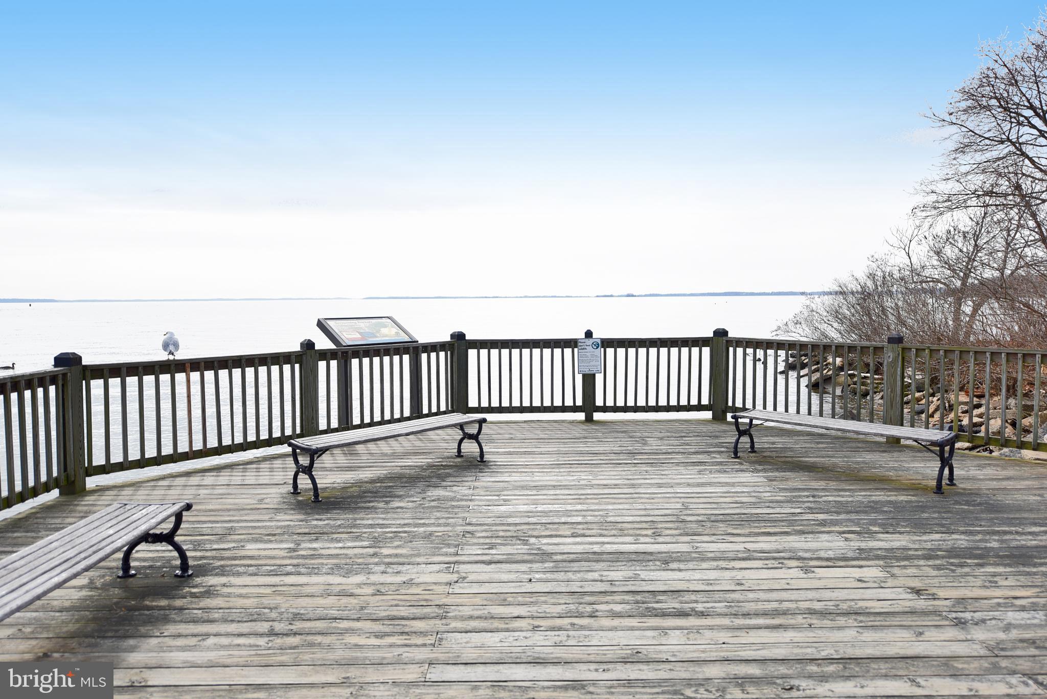 SENECA POINTE - Residential