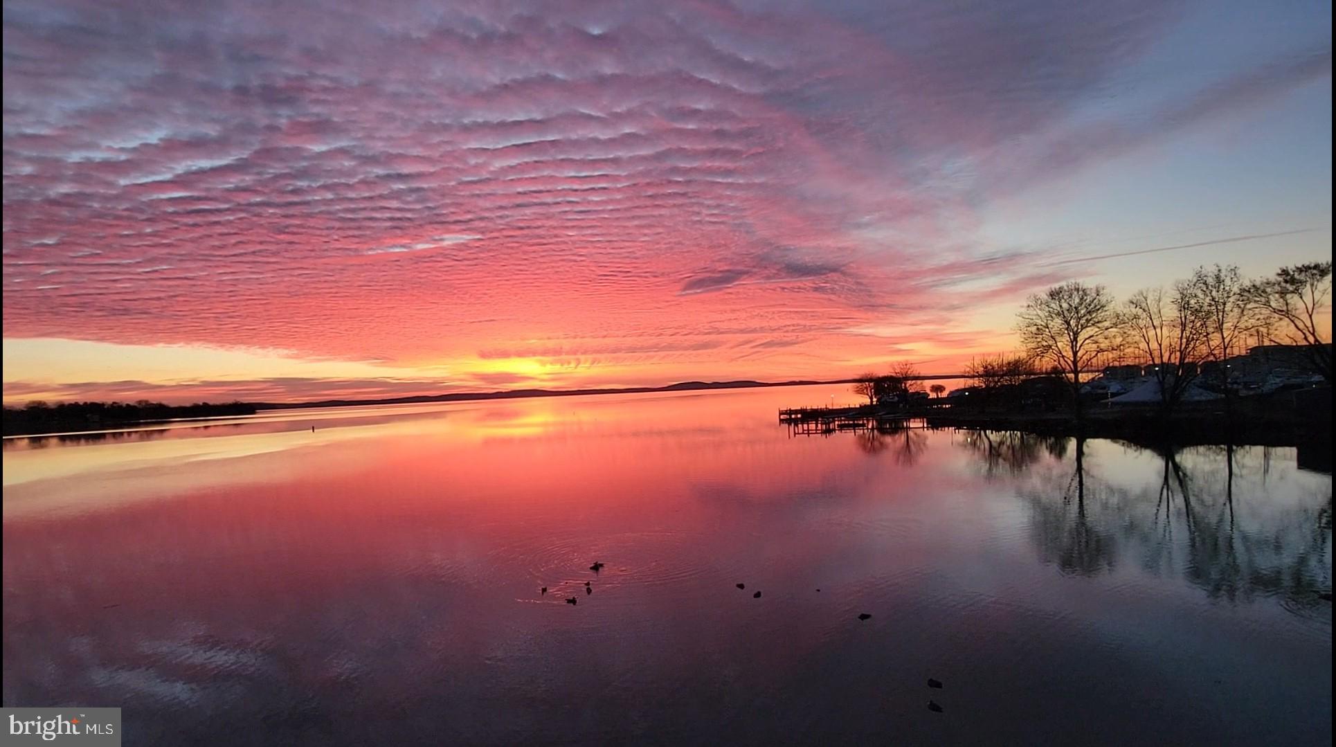 SENECA POINTE - Residential