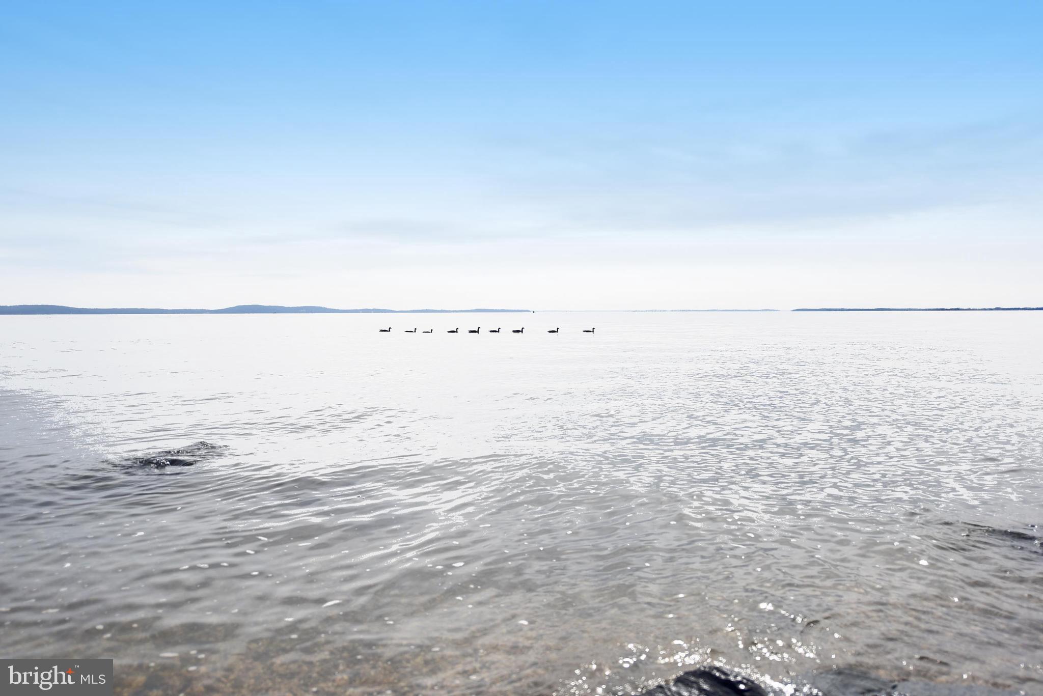 SENECA POINTE - Residential