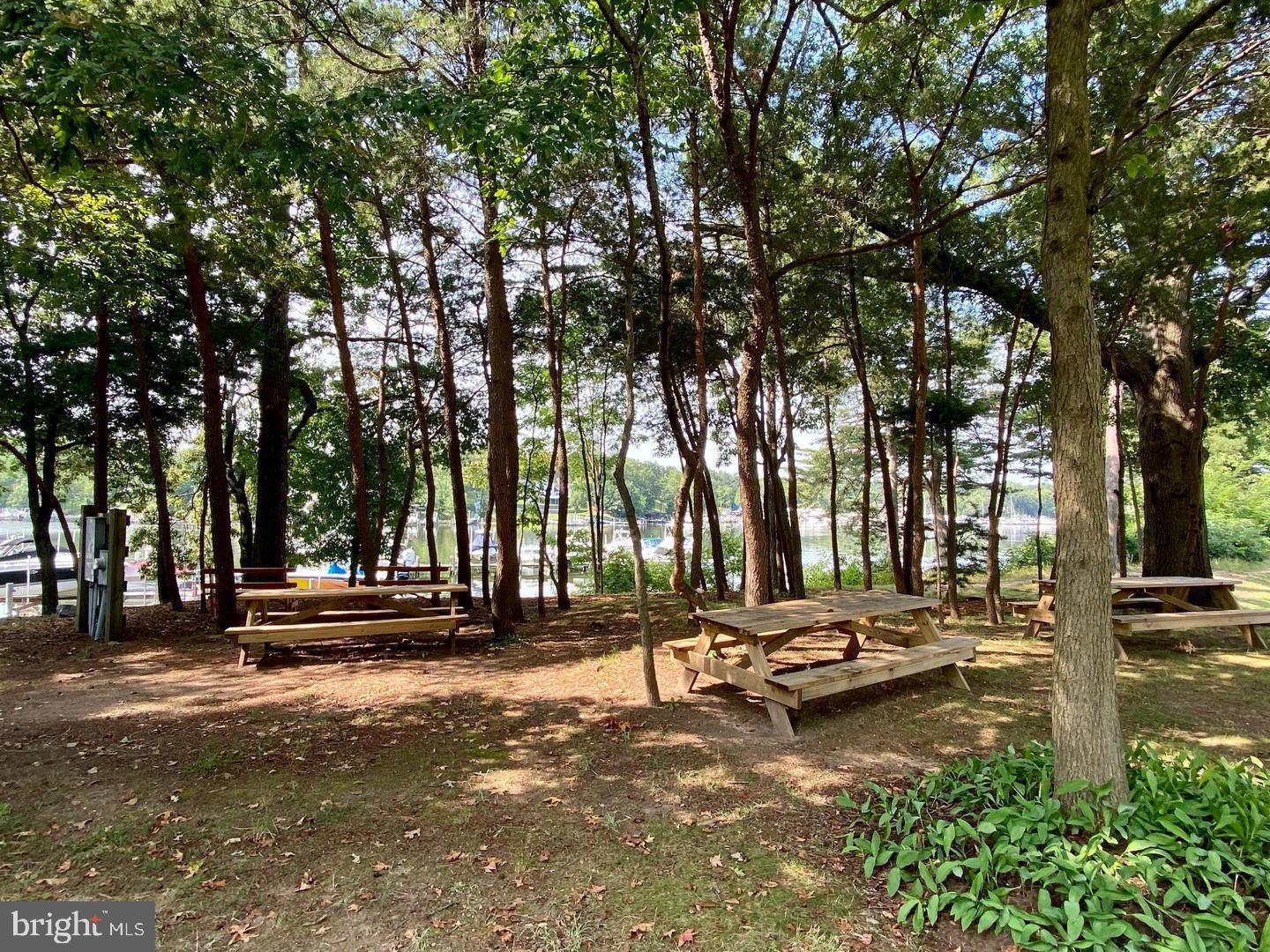 CHESTNUT HILL COVE - Residential Lease