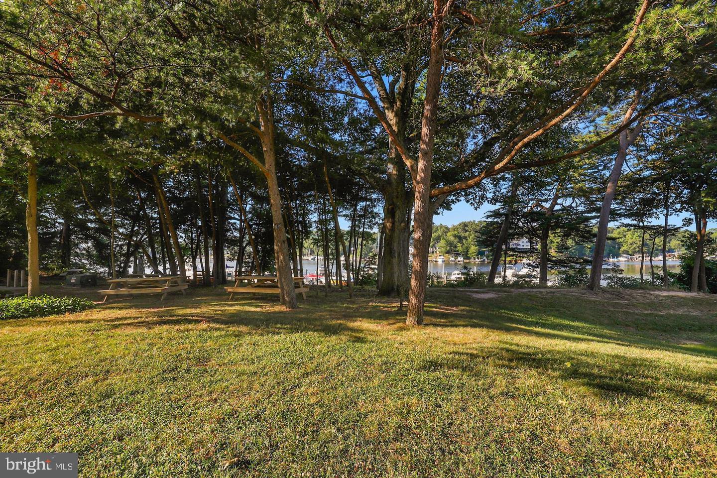 CHESTNUT HILL COVE - Residential Lease