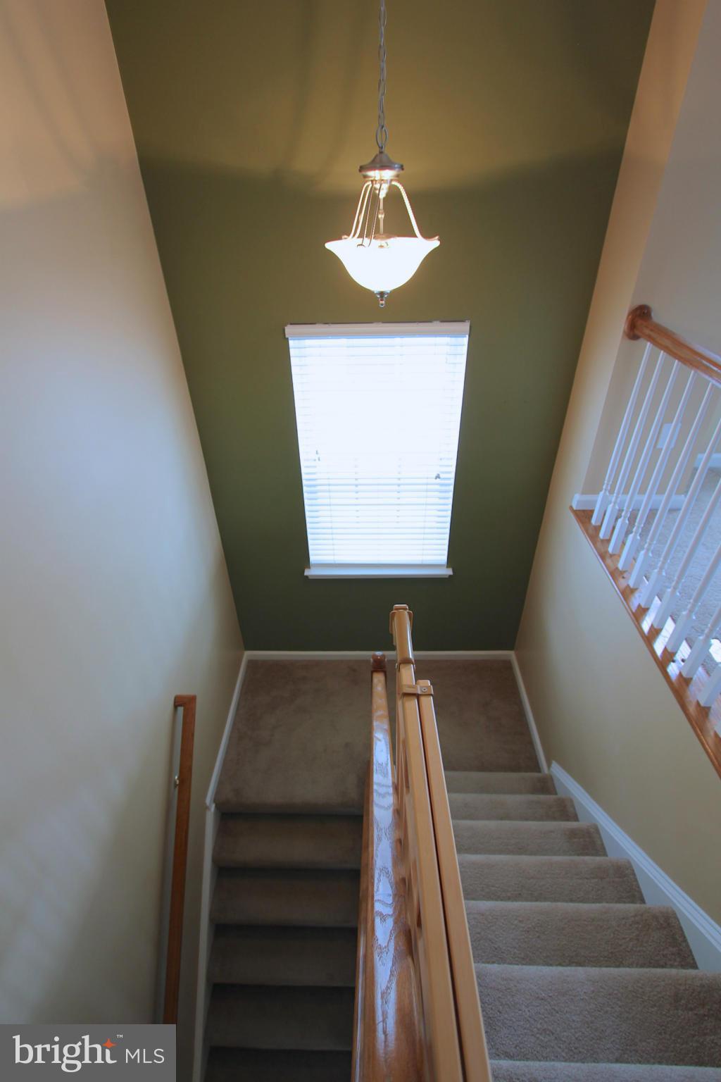 DAHLIA PARK OF WILDEWOOD - Residential