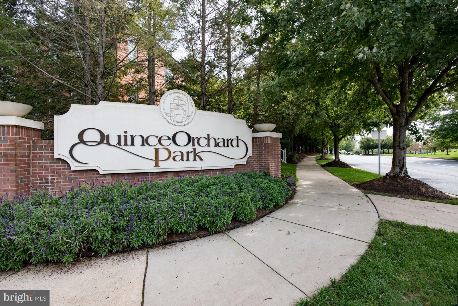QUINCE ORCHARD PARK - Residential