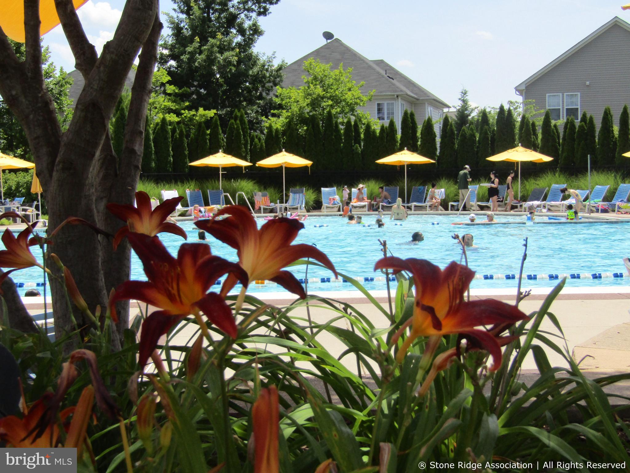 AMBER SPRING CONDOMINIUMS - Residential