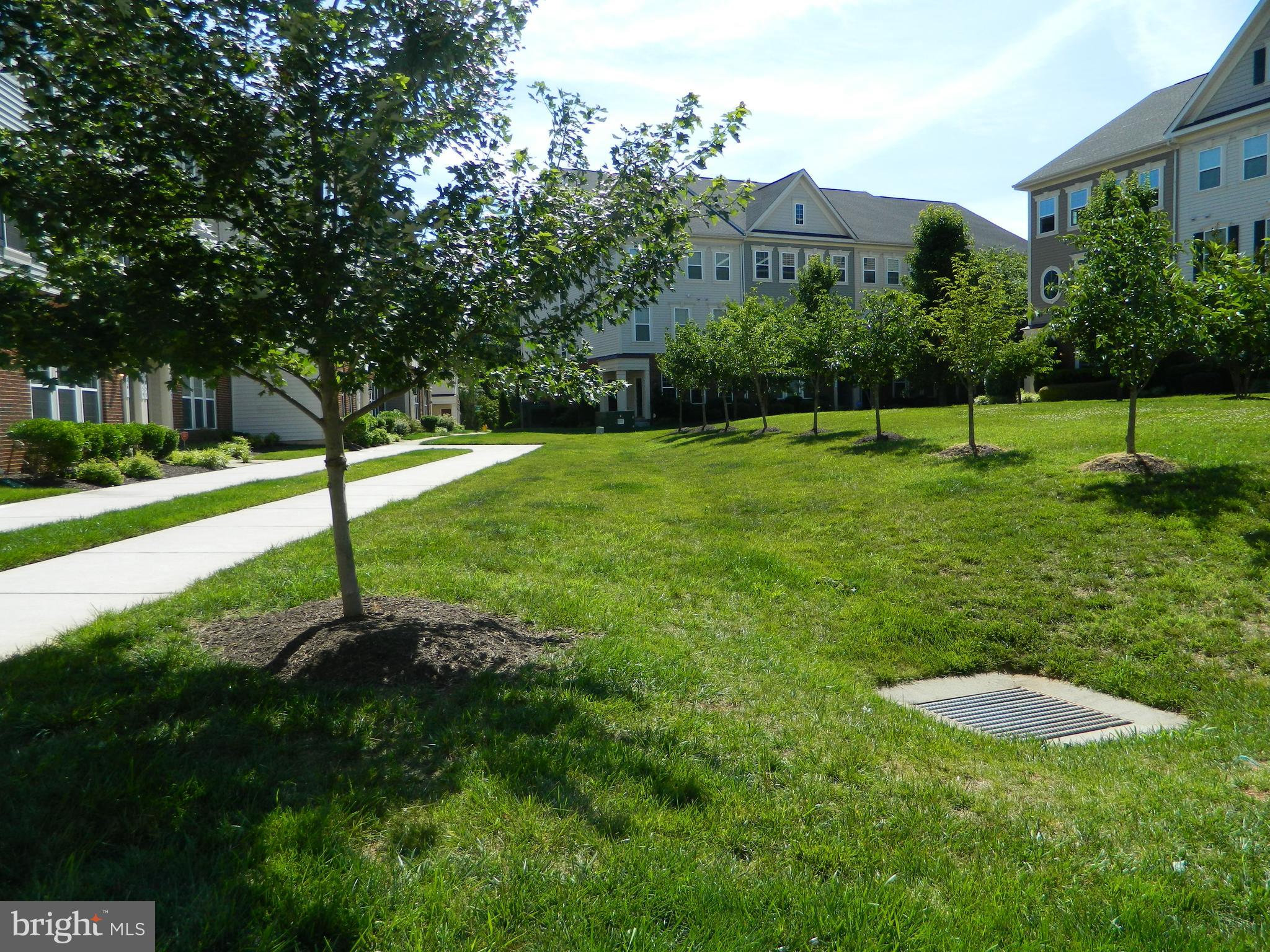 DANE RIDGE CONDO - Residential