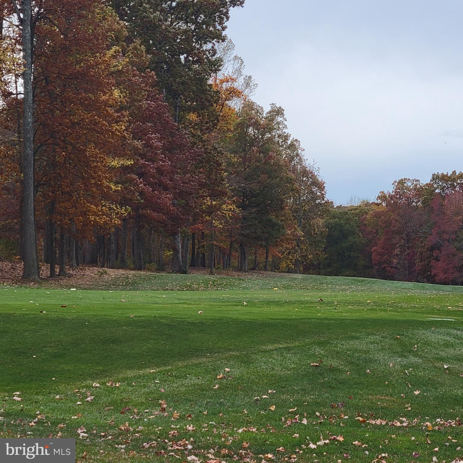 CLUB AT PATRIOTS GLEN - Residential