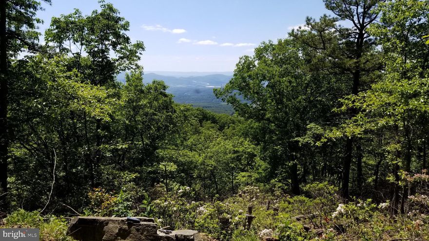 Discover your own slice of the mountain on this secluded 21.80-acre diamond in the rough, offering an exceptional opportunity to own a piece of paradise in a secure gated community. The property boasts incredible mountain seclusion and easy subdivision access to the vast 10,000+ acres of the Nathaniel Mountain Wildlife Management Area, providing ample opportunities for outdoor recreation, including hunting, hiking, camping, and wildlife viewing. Comprised of a beautiful successional forest, featuring a seamless blend of majestic hardwoods and dense pines, this property is ideal for those seeking a peaceful retreat or a location to build their mountain dream home. Imagine waking up each morning to stunning views of the surrounding mountains and spending your days exploring the natural beauty of the area. Located just two hours from Washington, DC, this desirable location offers the perfect balance of seclusion and convenience. Don't miss out on this incredible opportunity to own a piece of West Virginia mountain paradise!