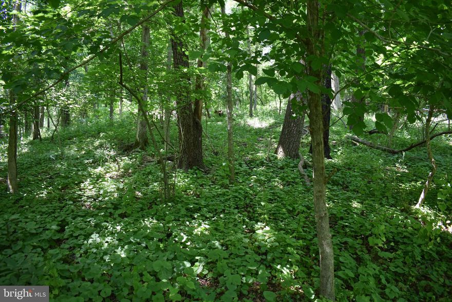 Wooded lots with relatively flat building areas ready for your new home!  Two lots are included in the purchase totalling .93 Acres.  Access to lots is ALL Hard Surface roads and a great commuting location to Northern Virginia.  Buyer can pay for a membership to the Mountain Lake Club for use of Lake Shannondale, the clubhouse, beach, and all amenities of the club.  Information on The Mountain Lake Club can be found online.  Health Dept has approved an LPP Septic system.  This is not a Class 1 approval and LPP system is more expensive than conventional.  Price reflects this approval.    Property was bought at Tax Sale.  Please consult your lender as appropriate for more information and advice.