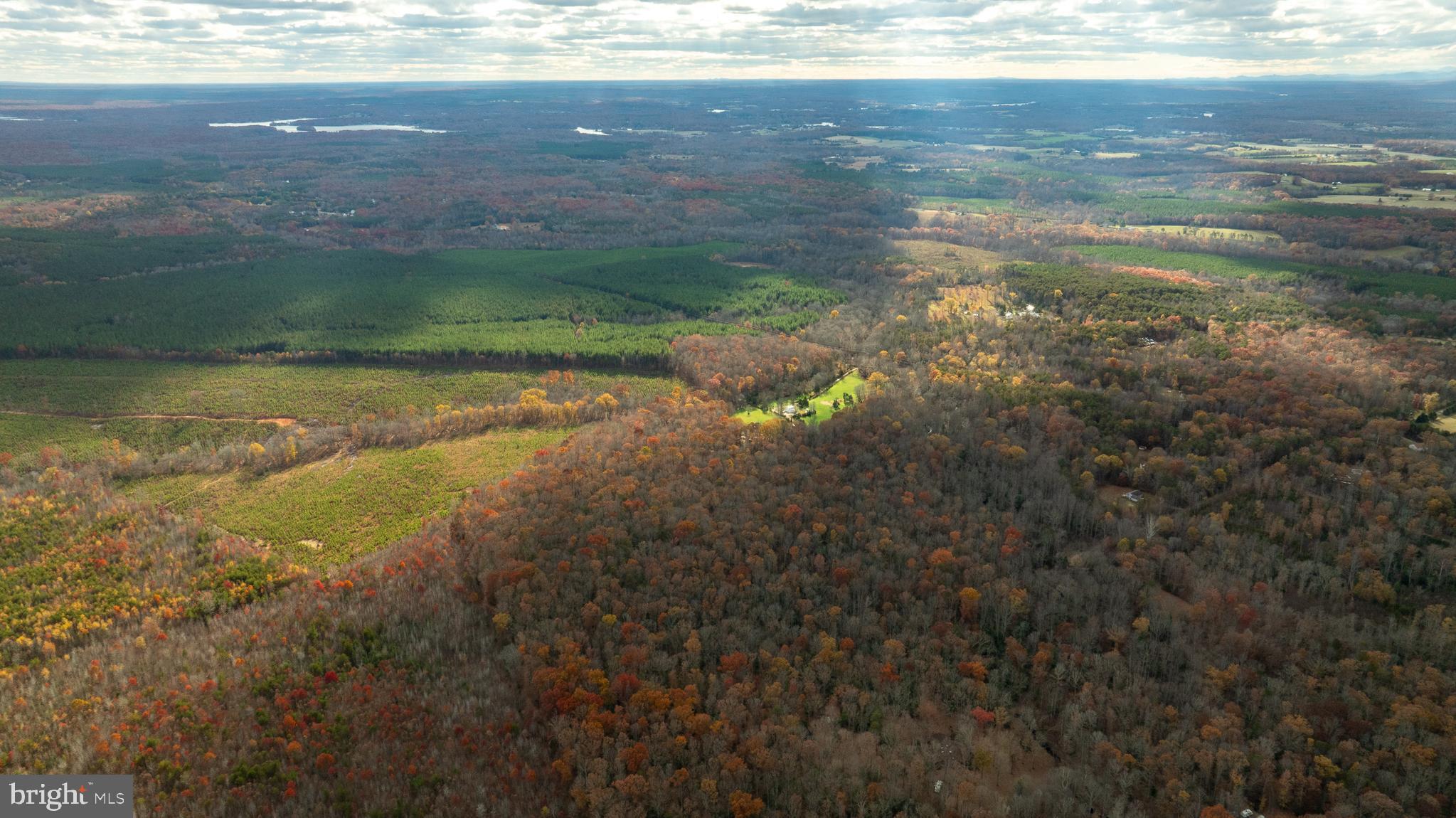 14100 CEDAR PLANTATION ROAD