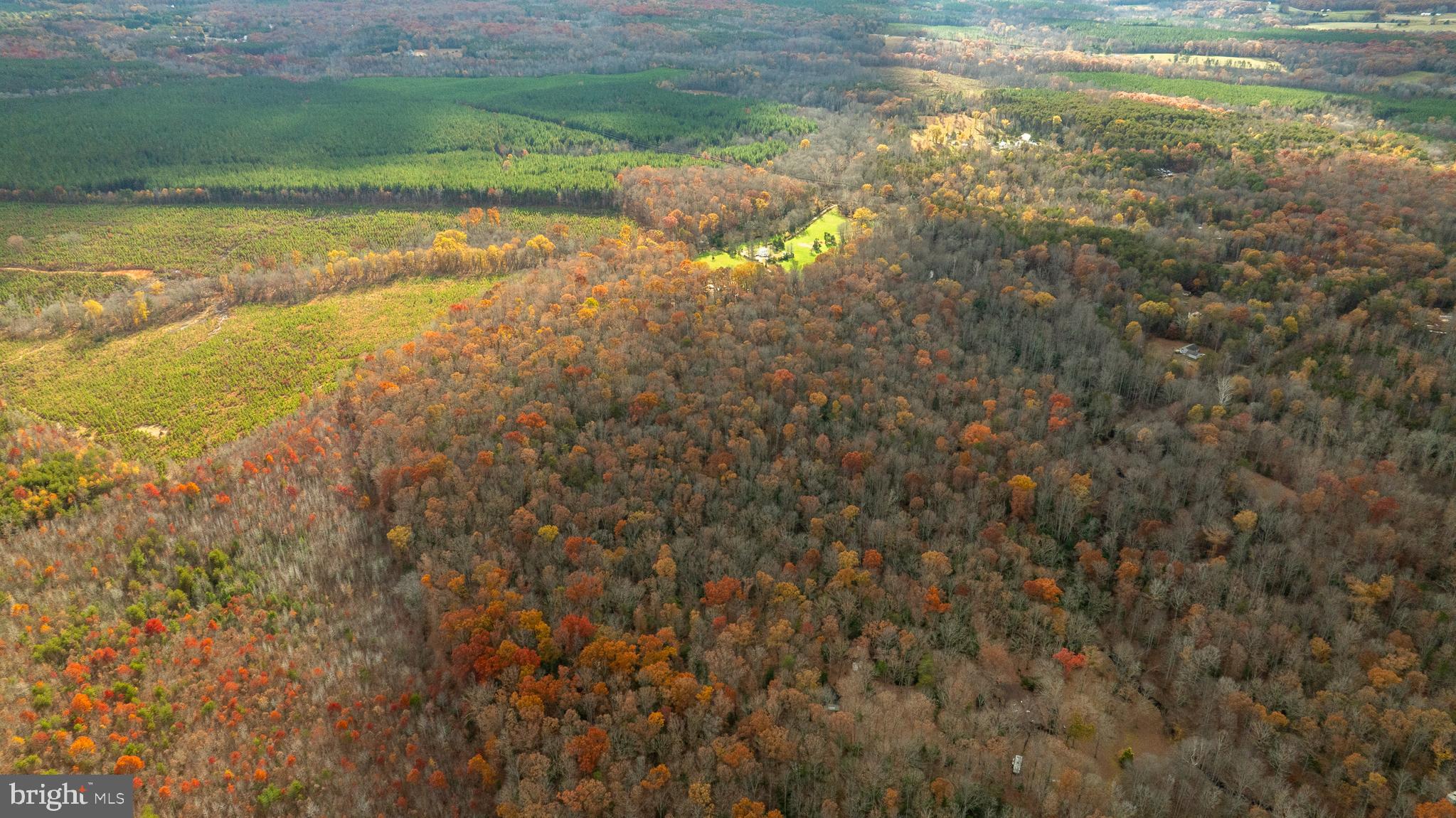 14100 CEDAR PLANTATION ROAD