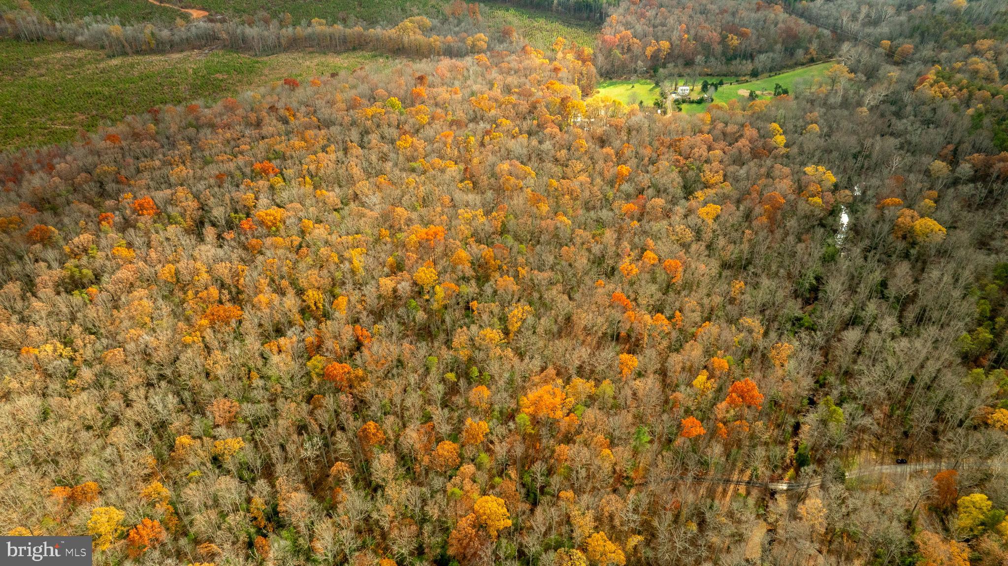 14100 CEDAR PLANTATION ROAD