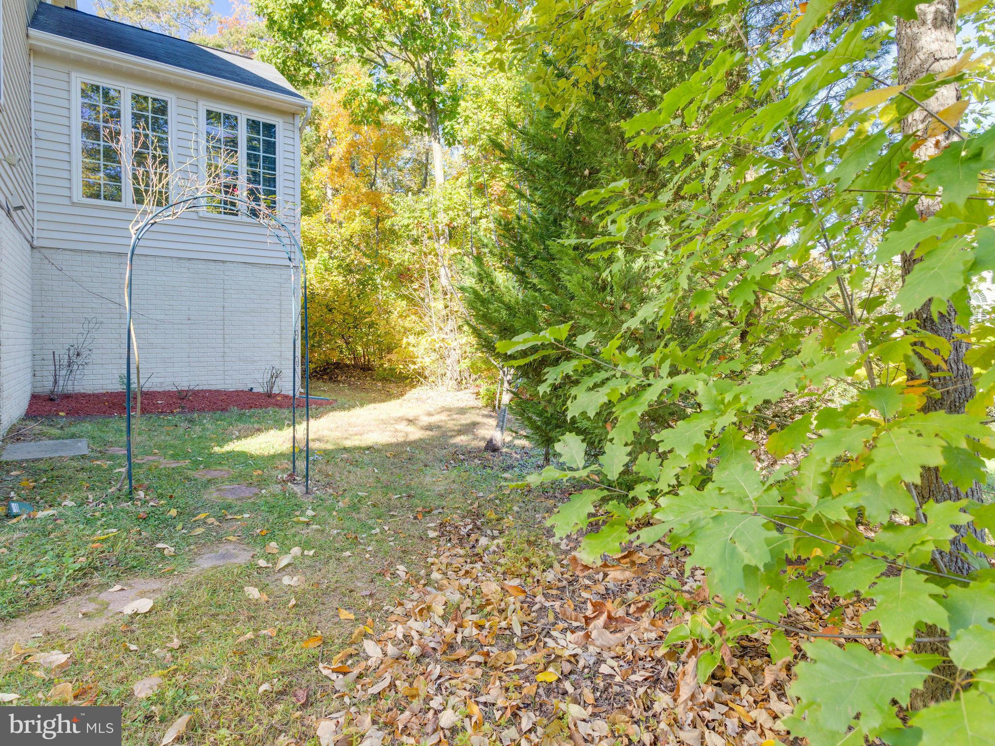 BRAEMAR/VILLAGES AT SAYBROOKE - Residential