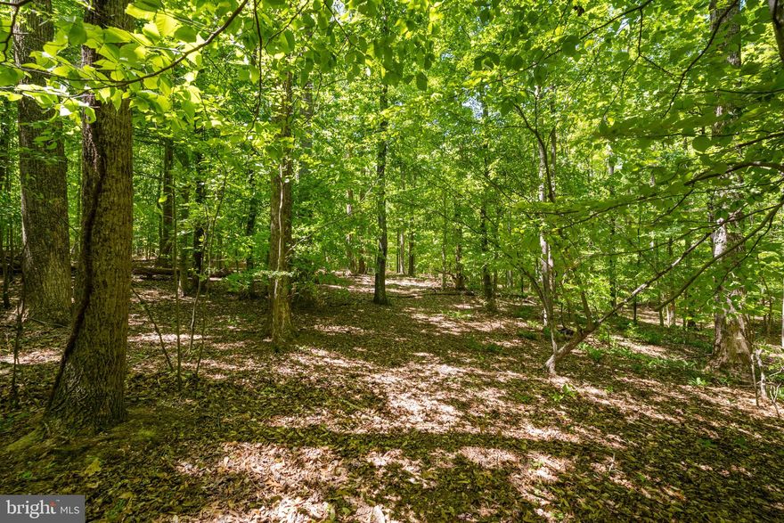 Over 6 acres of undeveloped, residentially zoned land offering a rare opportunity to build in peaceful, private Brandywine. Enjoy the tranquility of open space while remaining just minutes to Safeway, Giant, the Southern Area Aquatics and Recreation Complex, Indian Head Rail Trail, Cosca Regional Park, Cedarville State Forest, Joint Base Andrews, and Joint Base Anacostia-Bolling. Quick access to Brandywine Road, Branch Avenue, Crain Highway, Three Notch Road, and I-495.