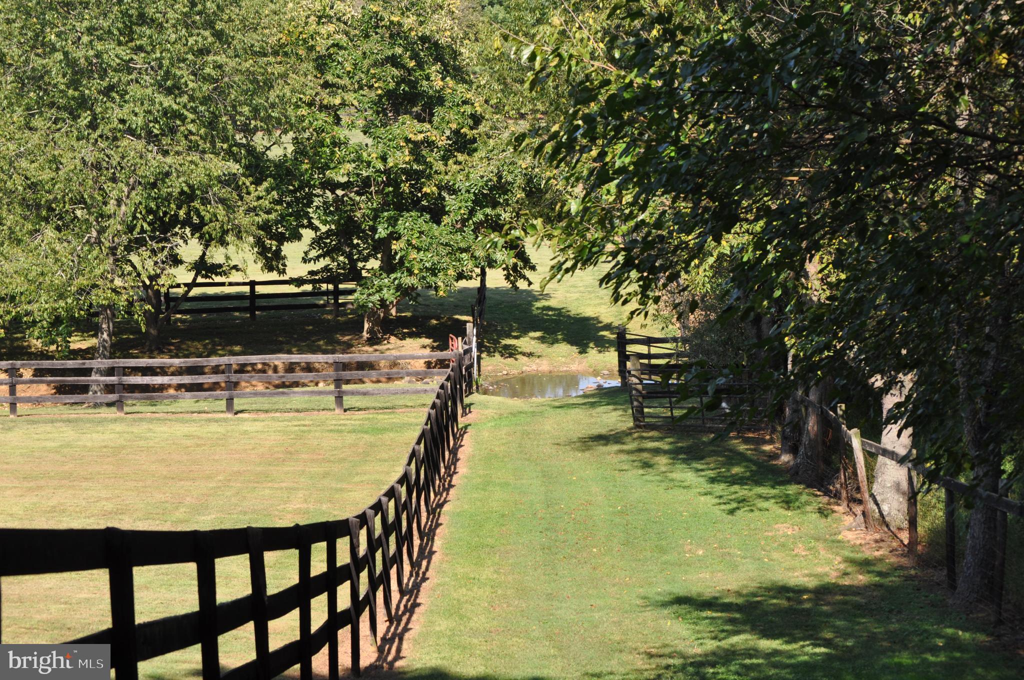 KALNASY - Residential