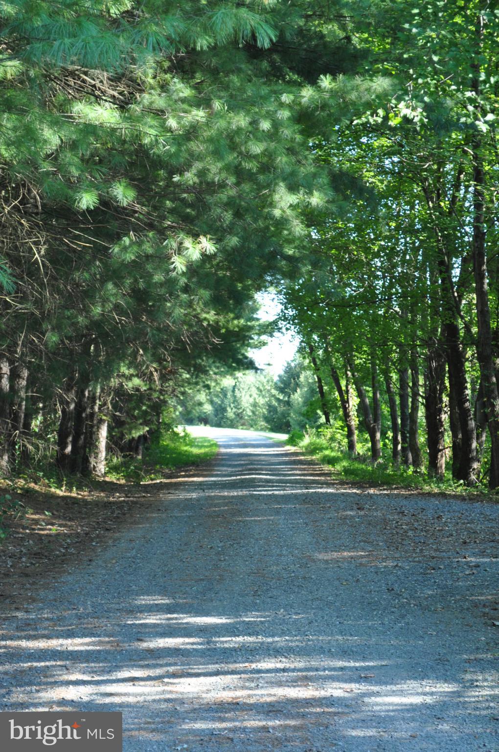 KALNASY - Residential