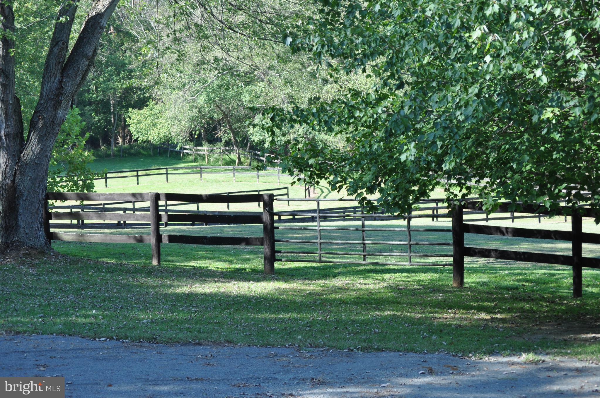 KALNASY - Residential