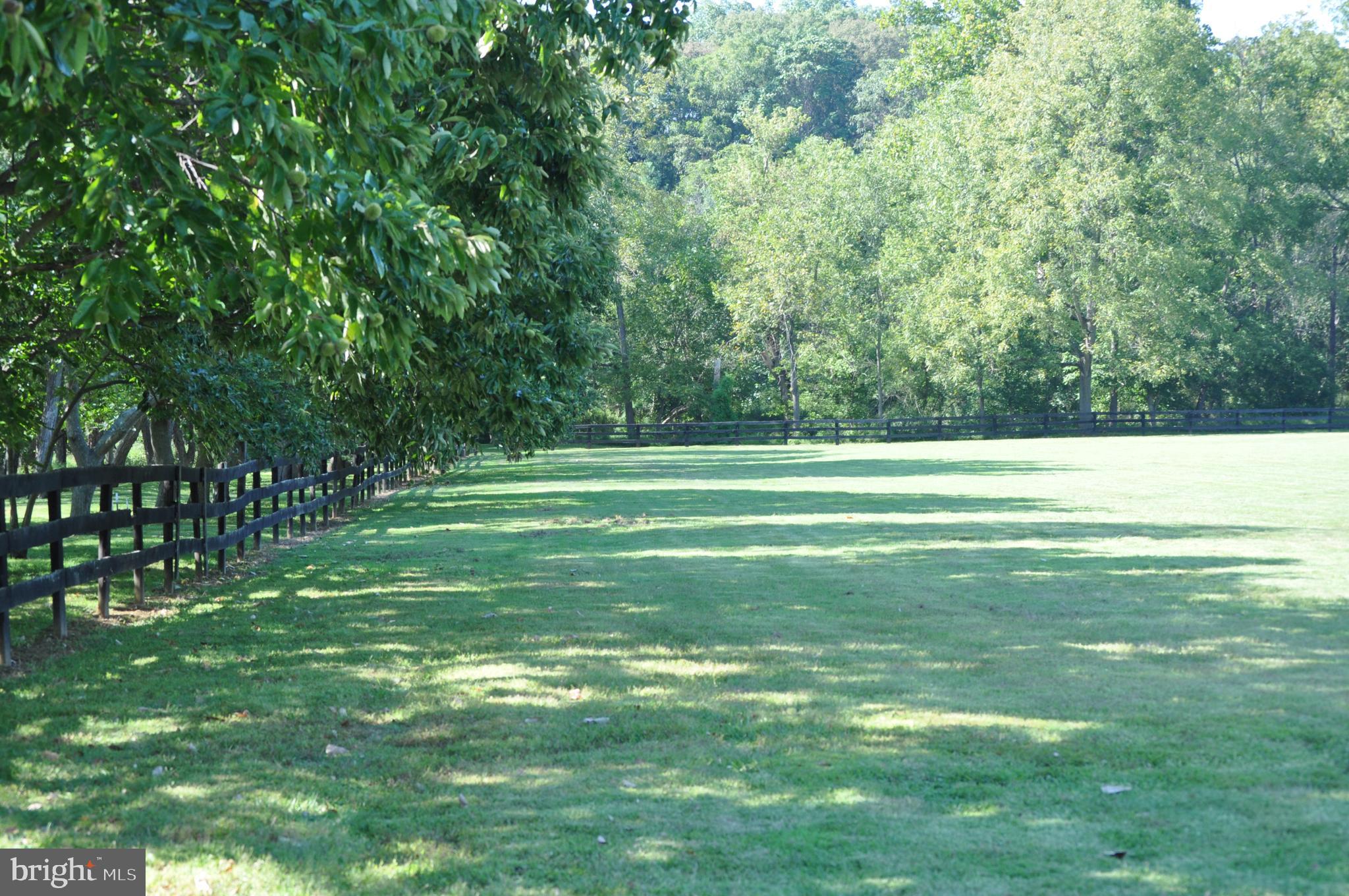 KALNASY - Residential