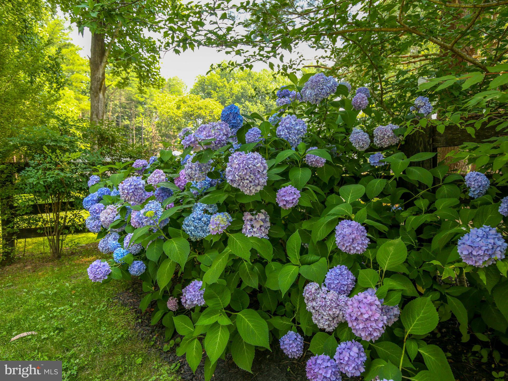 KALNASY - Residential