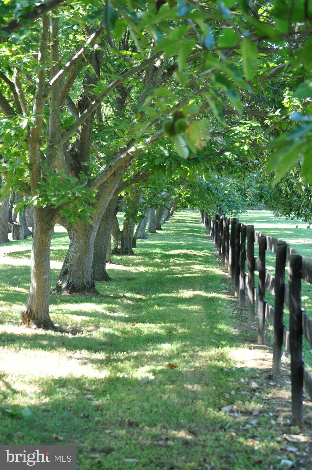 KALNASY - Residential