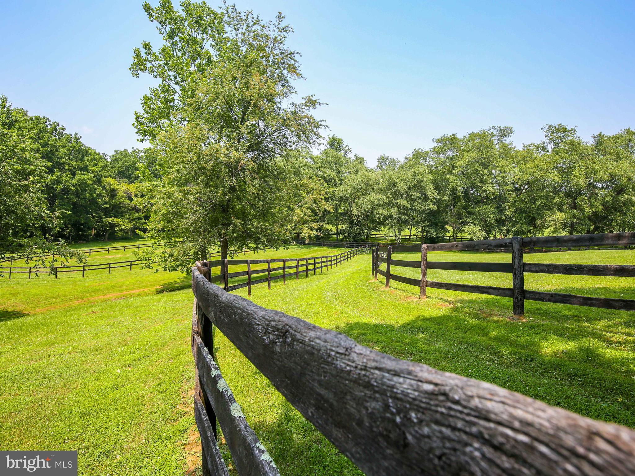 KALNASY - Residential