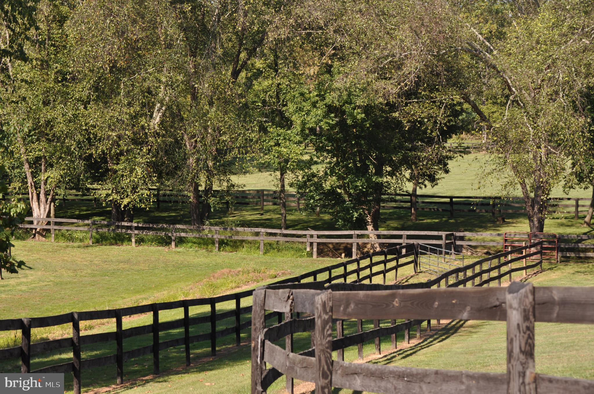 KALNASY - Residential