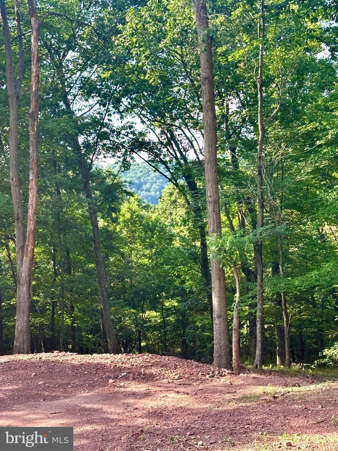 Over 23 acs are nestled in the heart of a prestigious gated community. This remarkable mountain-side property offers a rare blend of natural beauty, privacy, and exclusive access. The parcel has been improved with a very private driveway, a 27' x 33' excavated build pad and 715' of conduit installed to the build site for ease of electric service installation. With its gentle sloping terrain, mature timber, and abundant wildlife, this parcel of land is the perfect canvas for creating your dream retreat. Whether you’re envisioning a serene family home, a luxurious getaway, or a peaceful haven away from the hustle and bustle, this property promises to exceed your expectations. The property is strategically located on the western slope of Ashton Woods, providing gentle sloping terrain that ensures both accessibility and breathtaking views. The dense canopy of trees creates a serene and private environment, while also providing valuable shade and a sense of natural seclusion. The mature forest is home to a diverse range of flora and fauna, offering a tranquil setting for outdoor enthusiasts and nature lovers alike. Adding to the property’s allure is a small spring that is perfect for the wildlife habitat, providing opportunities for birdwatching, deer spotting, and other forms of wildlife engagement. One of the most exciting prospects of this property is the potential for spectacular western views. With strategic clearing, you can unlock breathtaking vistas that capture the essence of the surrounding mountains and valleys. Imagine enjoying stunning sunsets and panoramic views from your future home—an idyllic setting for relaxation, entertaining guests, and appreciating the natural beauty that defines this property. The property benefits from well-maintained roads that provide smooth and easy access to and from the land. The commitment to maintaining high-quality roads reflects the community’s dedication to providing a convenient and enjoyable living experience. Owning in this community gives you exclusive access to the Nathaniel Mountain Wildlife Management Area (WMA) through the subdivision. The WMA offers vast recreational opportunities, making it an invaluable asset for outdoor enthusiasts and nature lovers. In addition, public access to the South Branch of the Potomac River is only minutes away for splashing, kayaking or fishing.