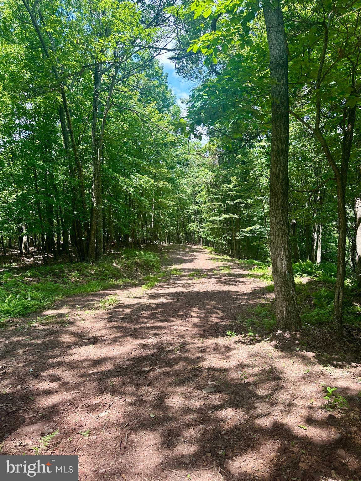 Lot 302 WINTERBERRY DRIVE