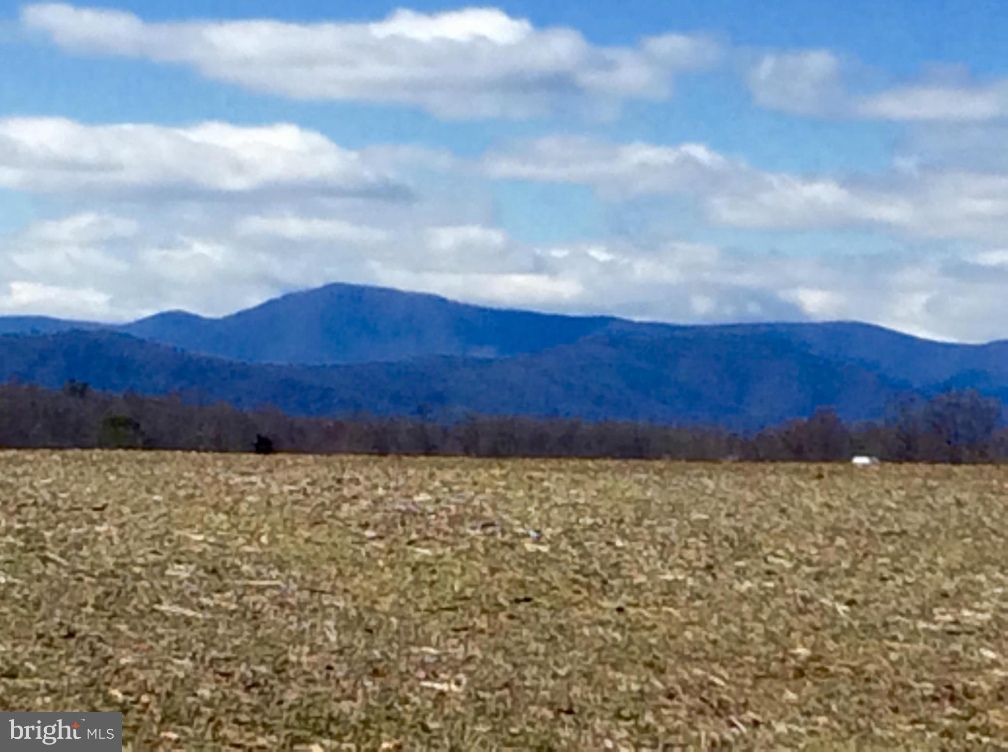 NONE AVAILABLE - Land