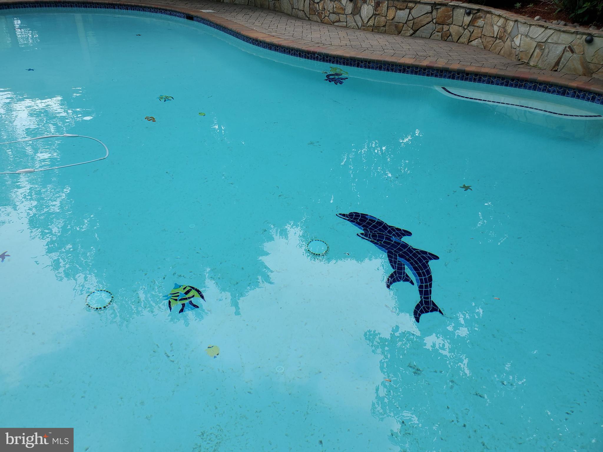 ALEXANDRA ESTATES - Residential